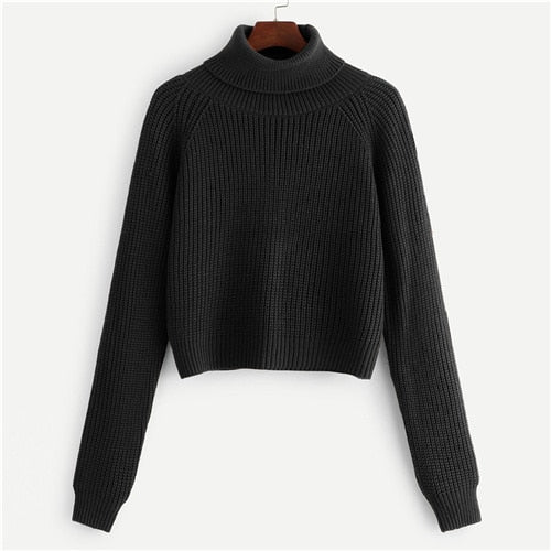 Black Coffee Crop Pullovers Roll Neck Raglan Sweater