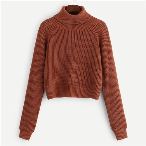 Black Coffee Crop Pullovers Roll Neck Raglan Sweater