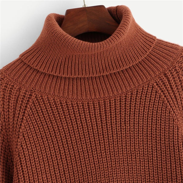 Black Coffee Crop Pullovers Roll Neck Raglan Sweater