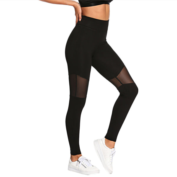 Black Contrast Mesh Contrast Skinny Solid Legging